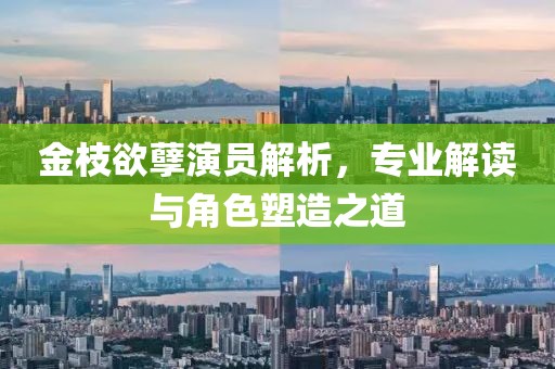 金枝欲孽演員解析，專(zhuān)業(yè)解讀與角色塑造之道