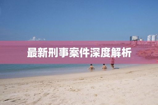 最新刑事案件深度解析