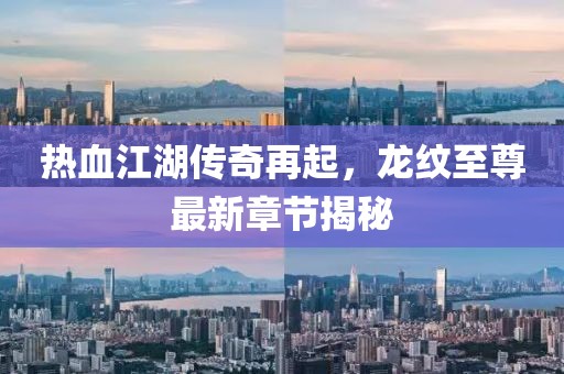 非誠(chéng)勿擾最新一期深度解讀與觀察報(bào)告