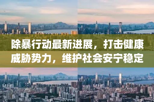 除暴行動(dòng)最新進(jìn)展，打擊健康威脅勢(shì)力，維護(hù)社會(huì)安寧穩(wěn)定