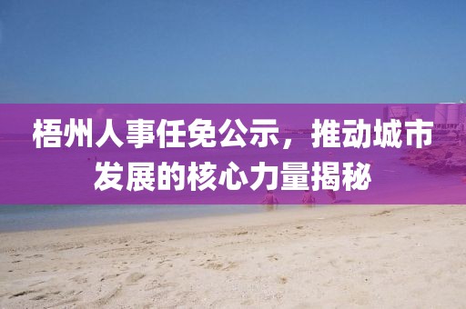 梧州人事任免公示，推動(dòng)城市發(fā)展的核心力量揭秘