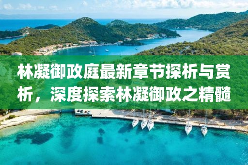 林凝御政庭最新章節(jié)探析與賞析，深度探索林凝御政之精髓
