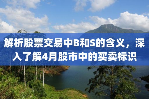 解析股票交易中B和S的含義，深入了解4月股市中的買賣標(biāo)識(shí)
