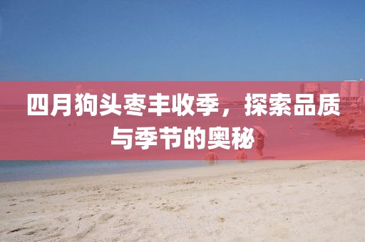 四月狗頭棗豐收季，探索品質(zhì)與季節(jié)的奧秘