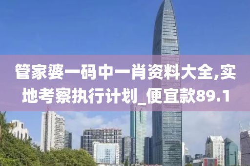 管家婆一碼中一肖資料大全,實地考察執(zhí)行計劃_便宜款89.1