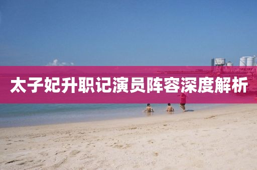 太子妃升職記演員陣容深度解析