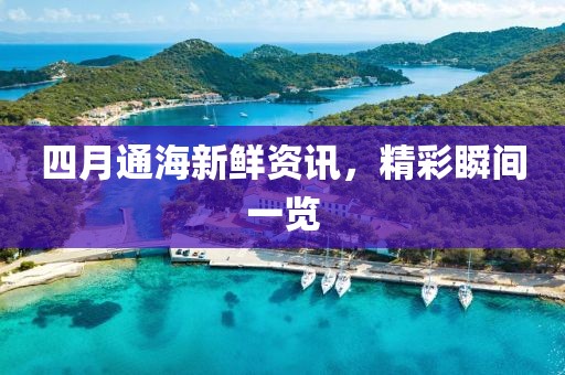 四月通海新鮮資訊，精彩瞬間一覽