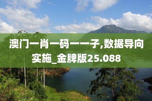 澳門一肖一碼一一子,數(shù)據(jù)導向?qū)嵤金牌版25.088