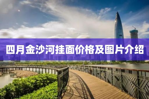 四月金沙河掛面價格及圖片介紹