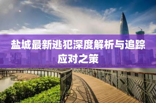 鹽城最新逃犯深度解析與追蹤應(yīng)對(duì)之策
