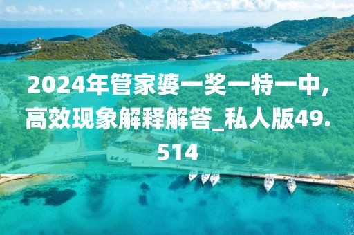 2024年管家婆一獎一特一中,高效現(xiàn)象解釋解答_私人版49.514