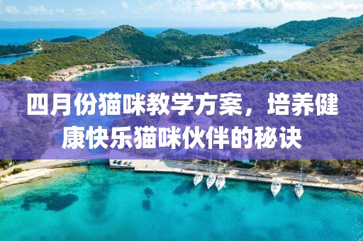 四月份貓咪教學(xué)方案，培養(yǎng)健康快樂貓咪伙伴的秘訣