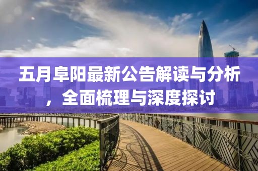 五月阜陽最新公告解讀與分析，全面梳理與深度探討