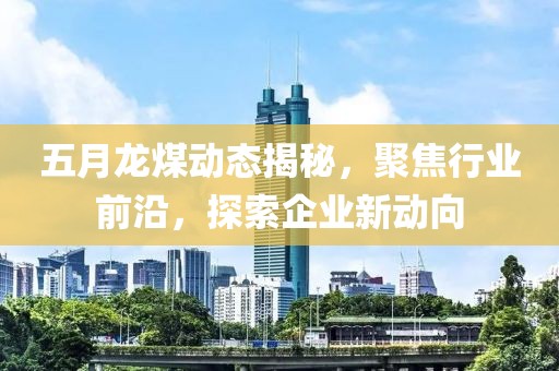 五月龍煤動態(tài)揭秘，聚焦行業(yè)前沿，探索企業(yè)新動向