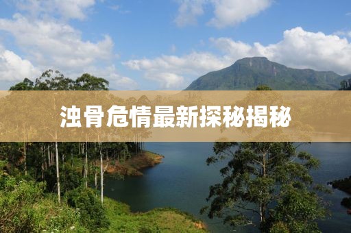 五月序曲，重燃新篇章，開啟無限可能
