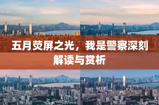 五月熒屏之光，我是警察深刻解讀與賞析
