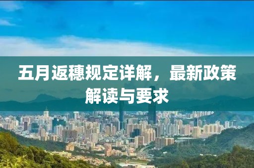 五月返穗規(guī)定詳解，最新政策解讀與要求