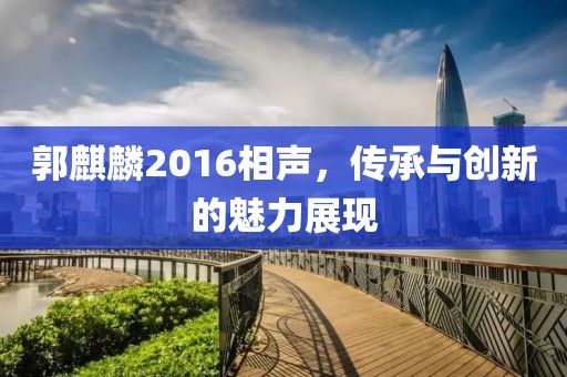 五月鄭祺寧最新動態(tài)揭秘，多元領(lǐng)域的卓越發(fā)展之路