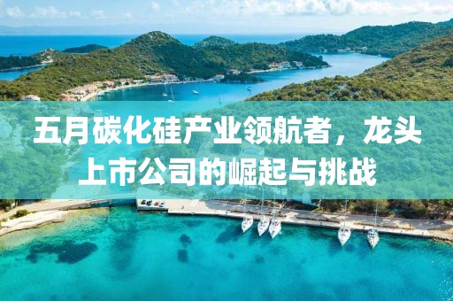 五月碳化硅產業(yè)領航者，龍頭上市公司的崛起與挑戰(zhàn)
