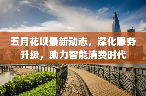 五月花唄最新動態(tài)，深化服務升級，助力智能消費時代
