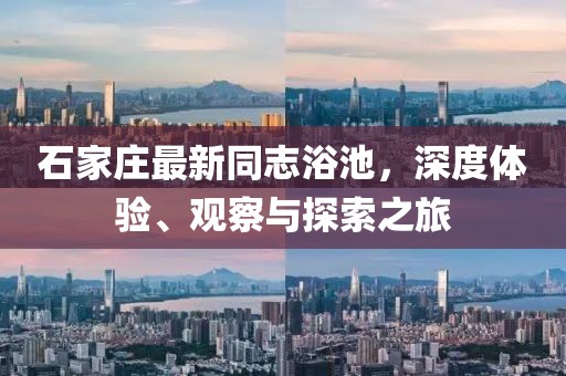五月最新聊天表情包，全新情感表達方式探索