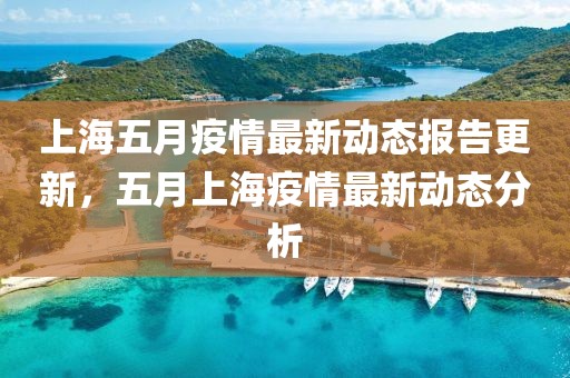 上海五月疫情最新動(dòng)態(tài)報(bào)告更新，五月上海疫情最新動(dòng)態(tài)分析