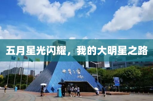 五月星光閃耀，我的大明星之路
