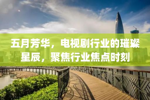 五月芳華，電視劇行業(yè)的璀璨星辰，聚焦行業(yè)焦點時刻
