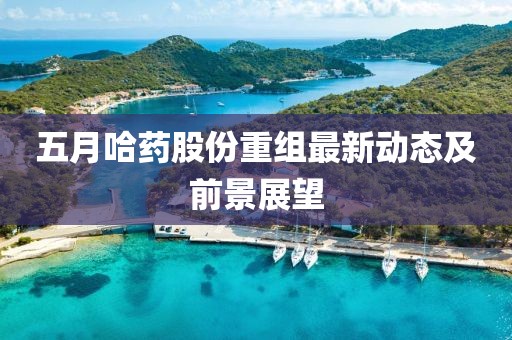 五月哈藥股份重組最新動(dòng)態(tài)及前景展望