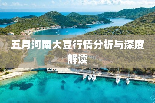 五月河南大豆行情分析與深度解讀