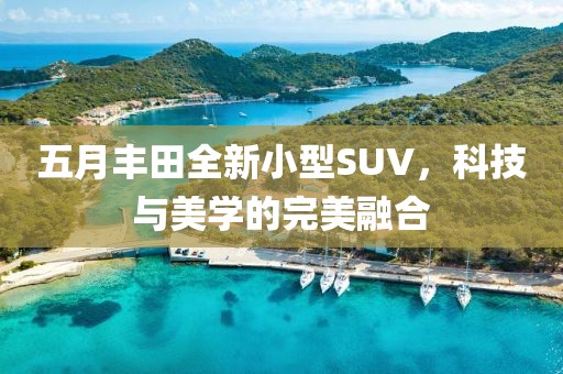 五月豐田全新小型SUV，科技與美學(xué)的完美融合