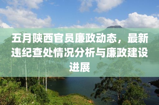 五月陜西官員廉政動態(tài)，最新違紀查處情況分析與廉政建設(shè)進展