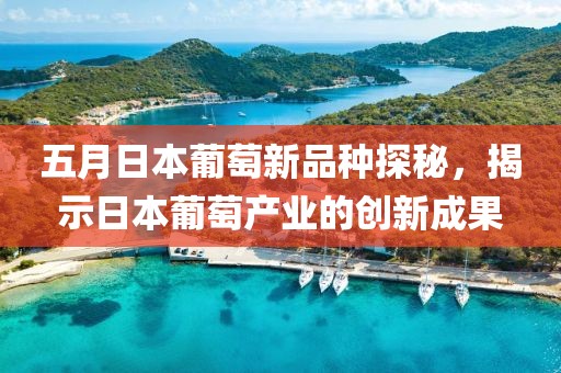 五月日本葡萄新品種探秘，揭示日本葡萄產(chǎn)業(yè)的創(chuàng)新成果