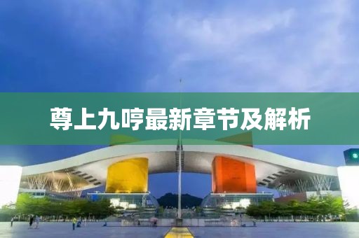 尊上九哼最新章節(jié)及解析