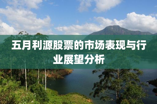 五月利源股票的市場表現(xiàn)與行業(yè)展望分析