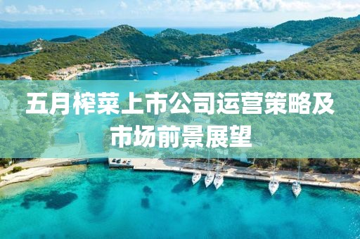 五月榨菜上市公司運(yùn)營(yíng)策略及市場(chǎng)前景展望