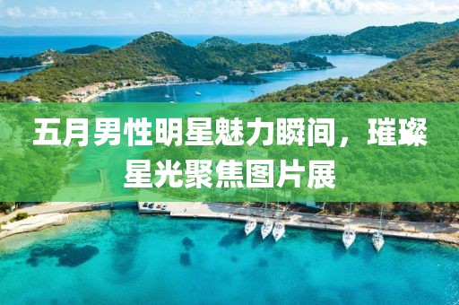 五月男性明星魅力瞬間，璀璨星光聚焦圖片展