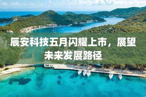 辰安科技五月閃耀上市，展望未來(lái)發(fā)展路徑