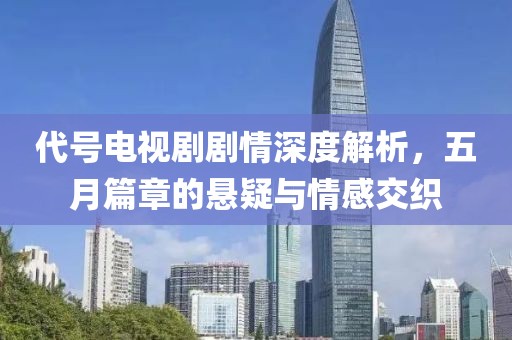 代號(hào)電視劇劇情深度解析，五月篇章的懸疑與情感交織