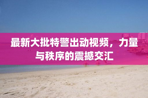 五月民國(guó)三年袁大頭銀元市場(chǎng)價(jià)深度解析，最新市場(chǎng)動(dòng)態(tài)及分析