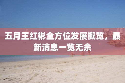五月王紅彬全方位發(fā)展概覽，最新消息一覽無余
