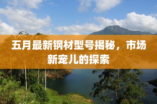 五月最新鋼材型號揭秘，市場新寵兒的探索