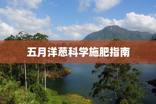 五月洋蔥科學(xué)施肥指南