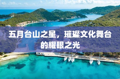 五月臺山之星，璀璨文化舞臺的耀眼之光
