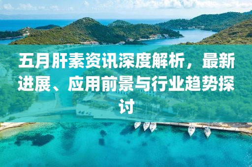 五月肝素資訊深度解析，最新進展、應(yīng)用前景與行業(yè)趨勢探討