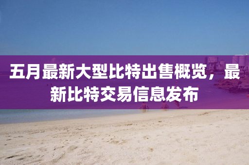 五月最新大型比特出售概覽，最新比特交易信息發(fā)布