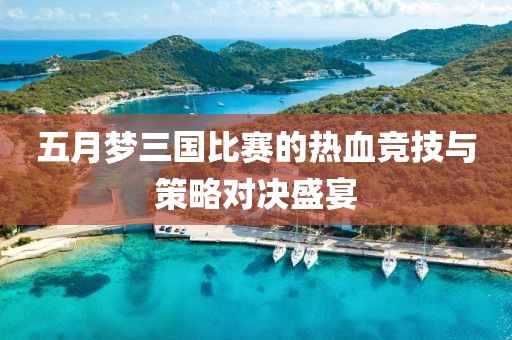五月夢三國比賽的熱血競技與策略對決盛宴