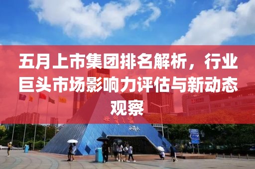 五月上市集團排名解析，行業(yè)巨頭市場影響力評估與新動態(tài)觀察