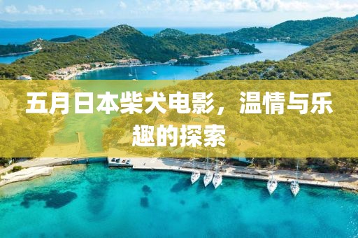 五月日本柴犬電影，溫情與樂趣的探索