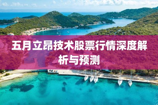 五月立昂技術股票行情深度解析與預測